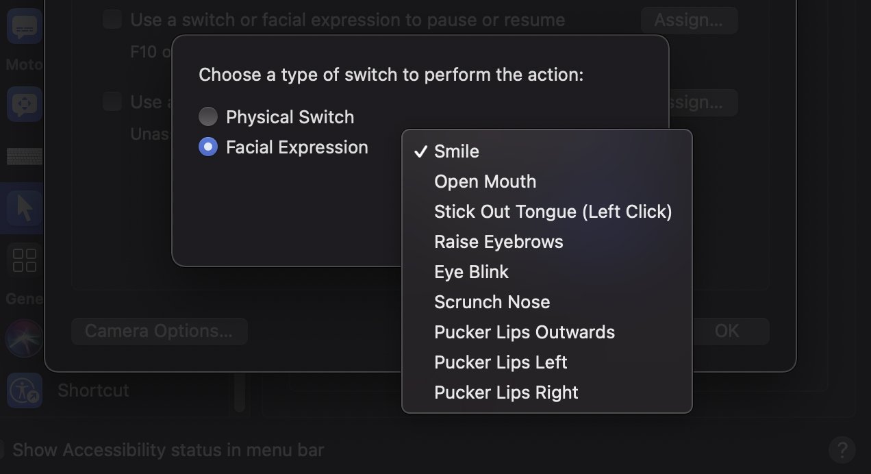 Il existe une liste assez longue d'expressions faciales que Head Pointer peut détecter. 
