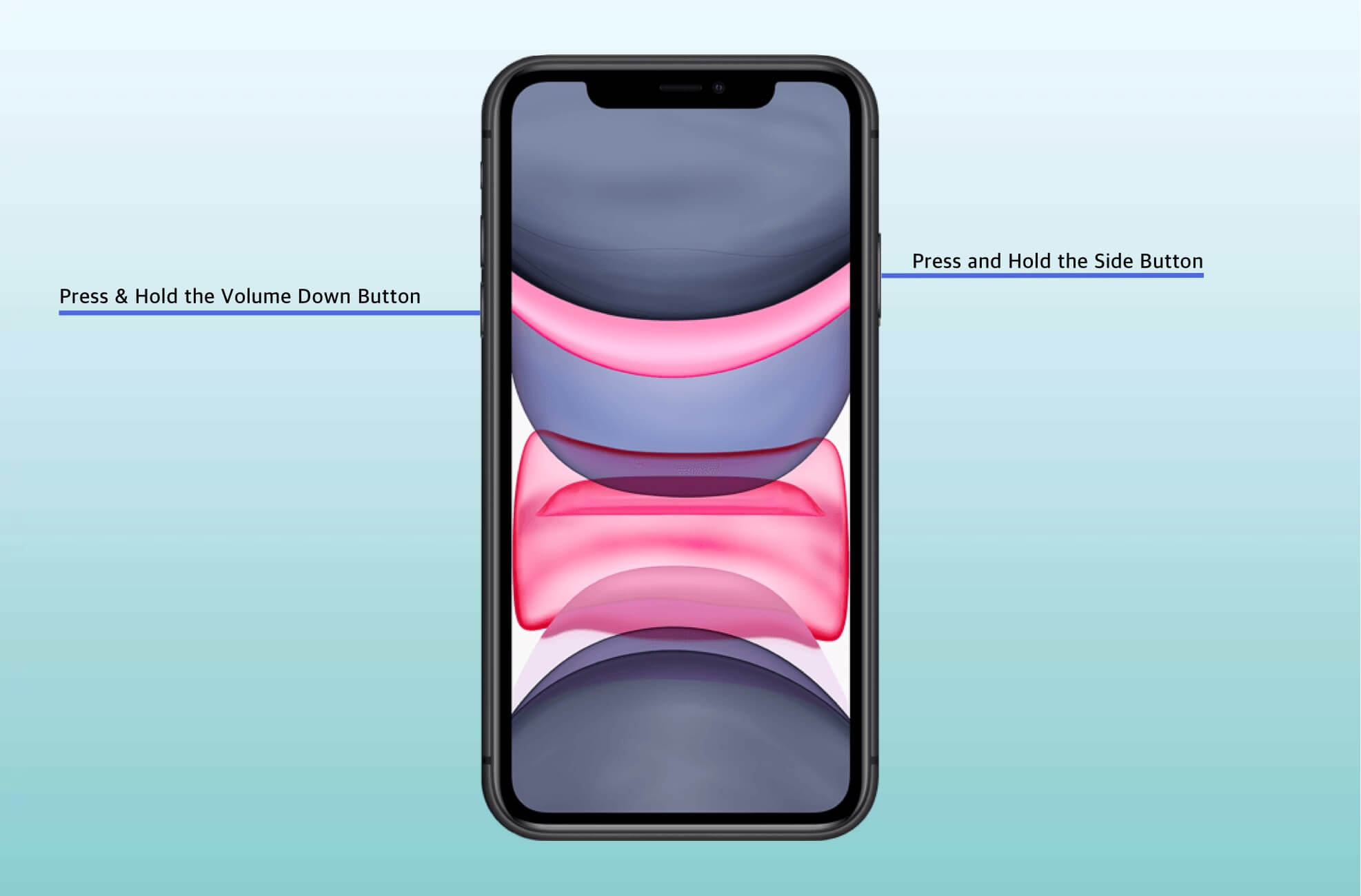 Appuyez et maintenez enfoncé le bouton latéral de réduction du volume sur l'iPhone 11